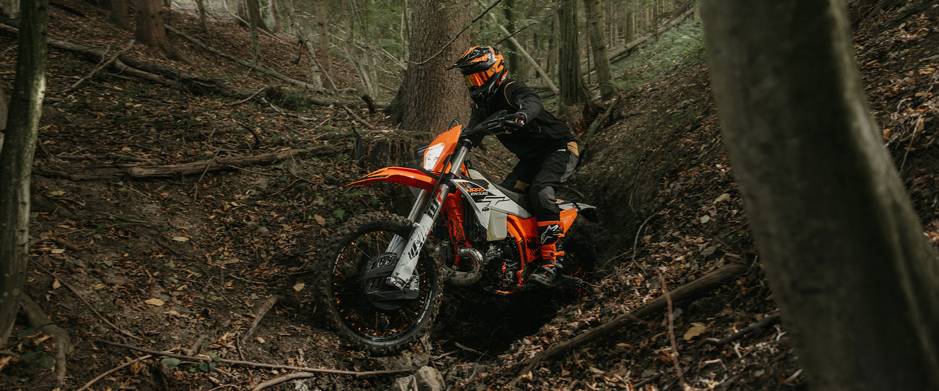 KTM Enduro 300 EXC HardEnduro 2026 photo