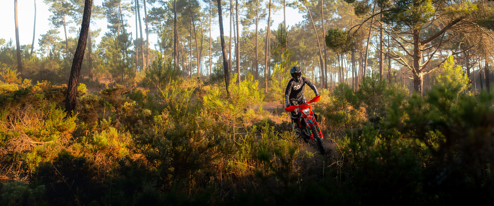 KTM Enduro 350 EXC-F SIX DAYS 2027 photo