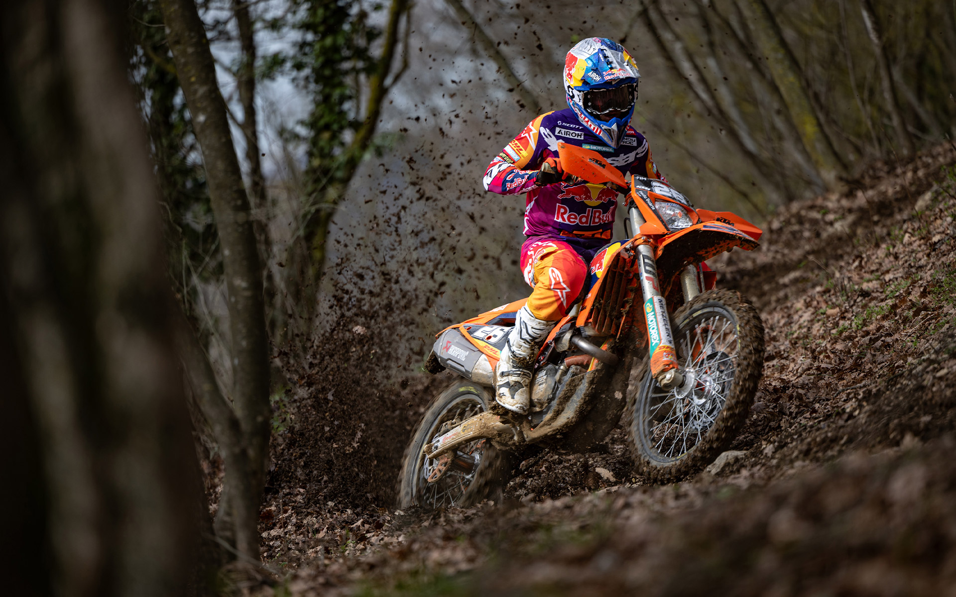 KTM Enduro 500 EXC-F Champion Edition 2025 photo KTM Enduro 500 EXC-F Champion Edition 2025 photo