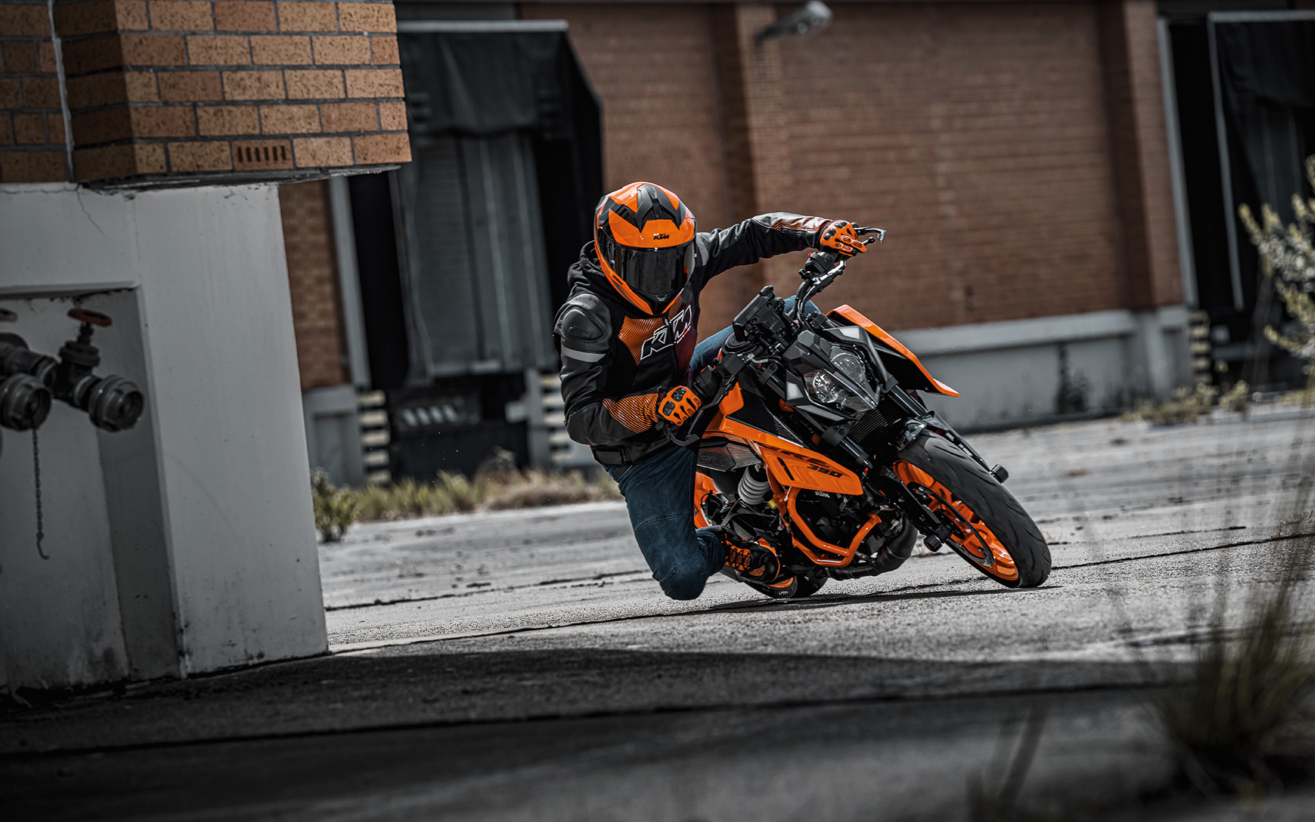 KTM Naked 390 Duke 2024 photo